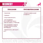 Ветеринарная диета Monge VetSolution Cat Recovery Рекавери для кошек при восстановлении питания в период выздоровления 3