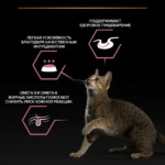 Влажный корм PRO PLAN® DELICATE DIGESTION для кошек