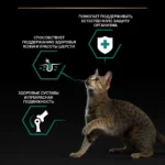 Преимущества PRO PLAN® MAINTENANCE