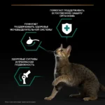 Влажный корм PRO PLAN® MAINTENANCE для взрослых кошек