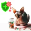 Витамины для иммунитета кошек