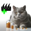 Витамины для шерсти кошек